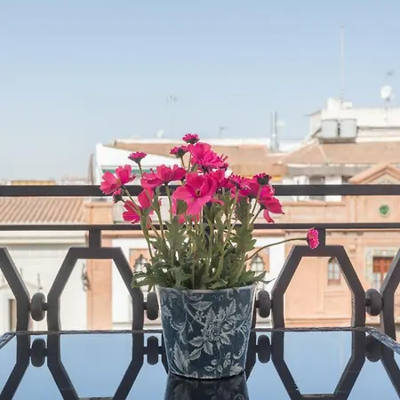 Behouse Avenida * Sevilla